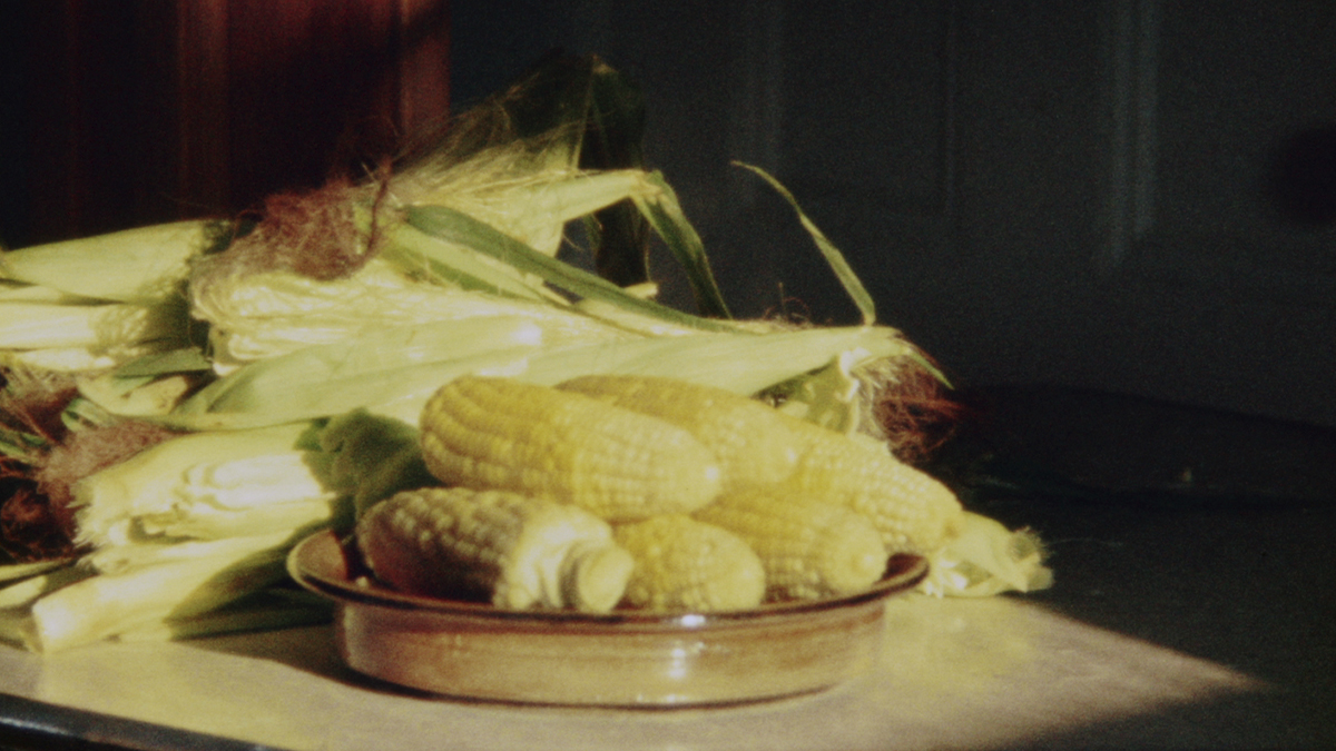 The Raw and the Cooked: Larry Gottheim’s ‘Corn’ (1970)