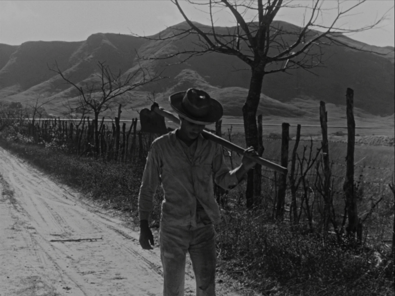 Ciro Durán’s La Paga Restored: A Conversation with Vladimir Durán