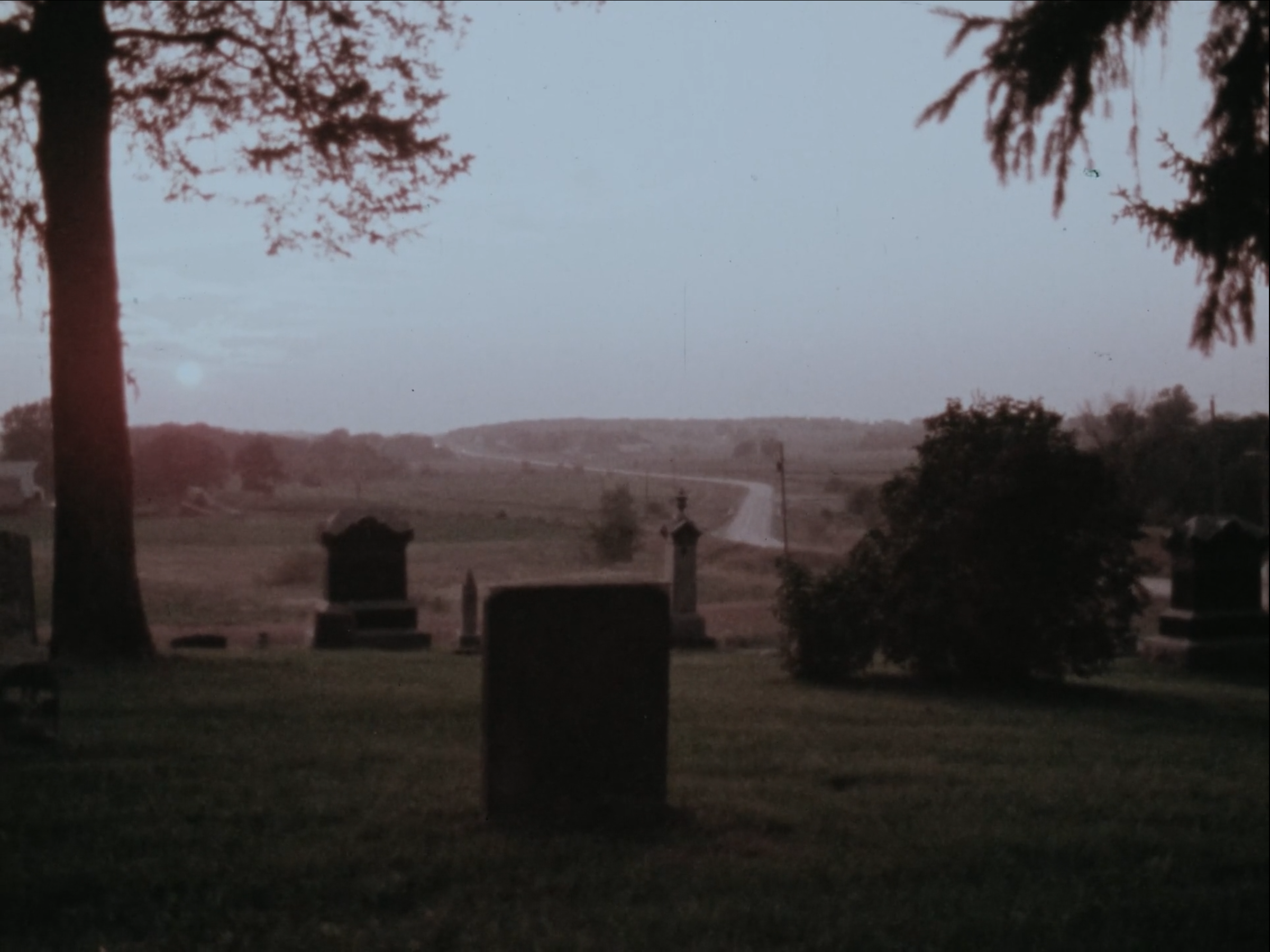 As If the Trees By Their Very Roots Had Hold of Us: The Films of Peter Bundy
